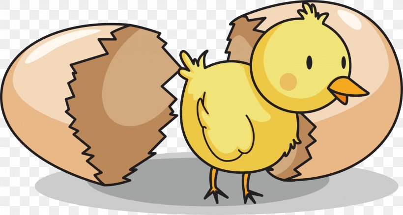 Chicken Clip Art Vector Graphics Egg Image, PNG, 2967x1586px, Chicken, Animation, Artwork, Beak, Bird Download Free