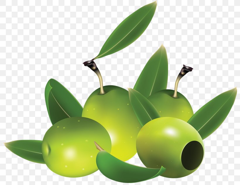 Olive Oil Clip Art, PNG, 800x633px, Olive, Food, Fruit, Oil, Olive Branch Download Free
