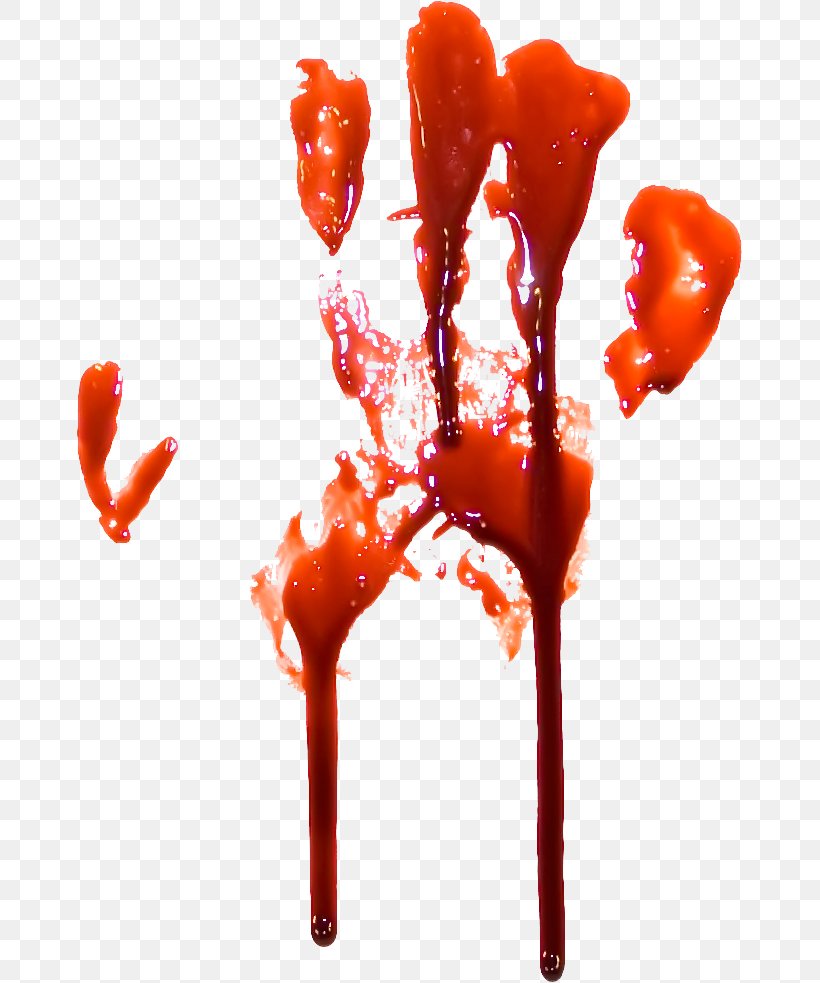 Blood Clip Art, PNG, 665x983px, Blood, Blood Plasma, Body Fluid, Data Compression, Heart Download Free