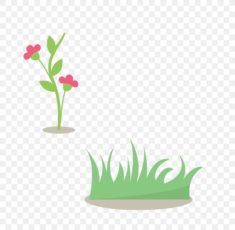Drawing, PNG, 800x800px, Drawing, Branch, Cartoon, Flora, Floral Design Download Free