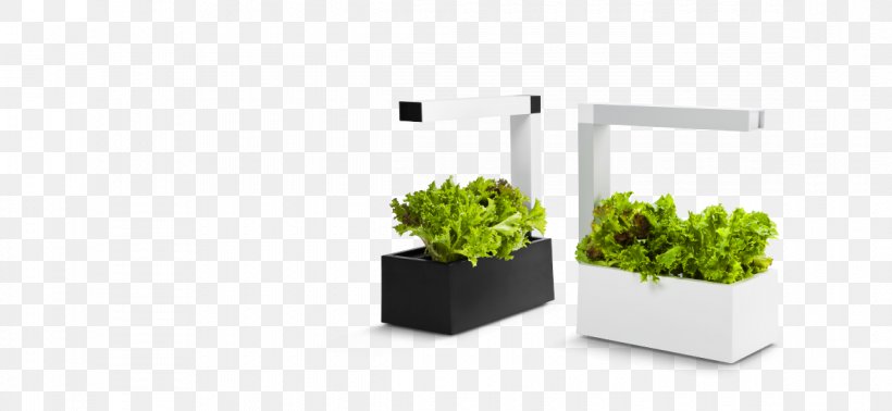 Flowerpot Kitchen Garden Table Light Herb, PNG, 1170x540px, Flowerpot, Garden, Gardening, Grass, Grass Family Download Free