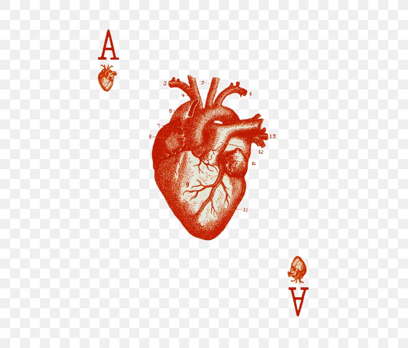 Ace Of Hearts Playing Card Cribbage, PNG, 494x700px, Watercolor, Cartoon, Flower, Frame, Heart Download Free