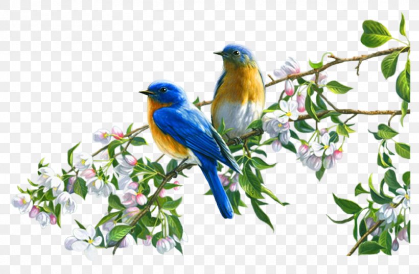 Bird Es Art, PNG, 986x646px, Bird, Art, Beak, Bluebird, Branch Download Free