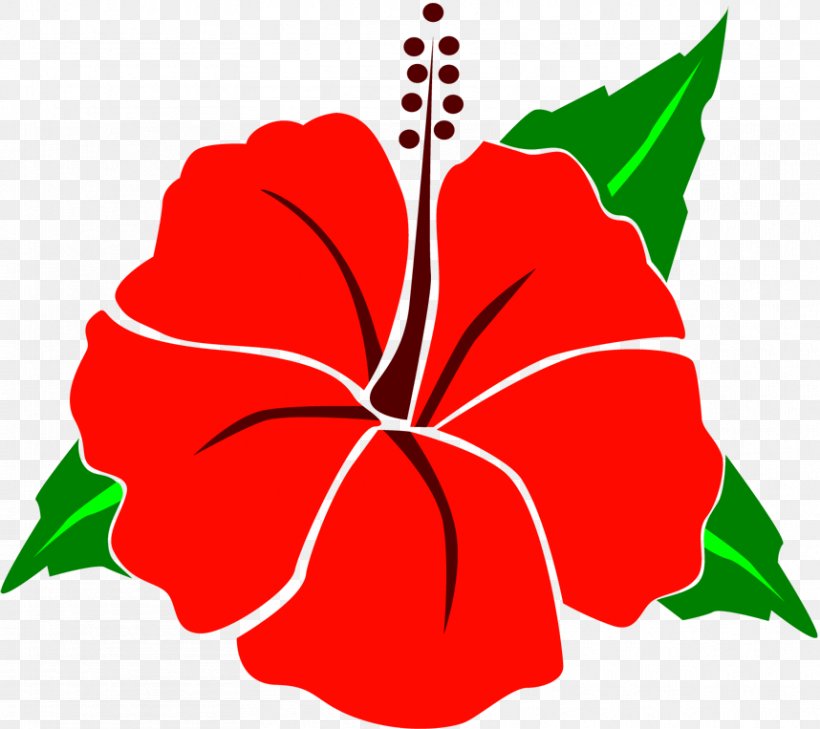 Rosemallows Floral Design Petal Plant Stem Clip Art, PNG, 858x763px, Rosemallows, Artwork, Flora, Floral Design, Flower Download Free
