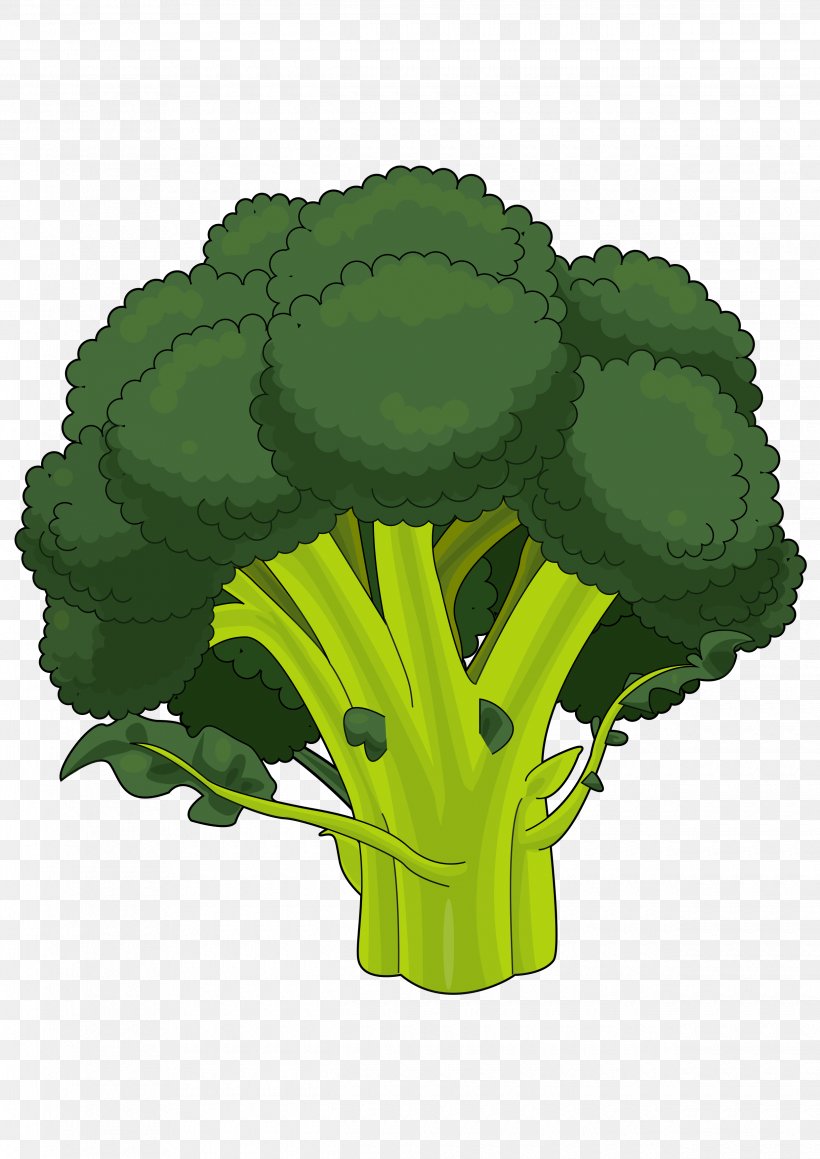 Broccoli Drawing PDF Cauliflower, PNG, 2480x3508px, Broccoli, Caricature, Cauliflower, Drawing, Flowerpot Download Free