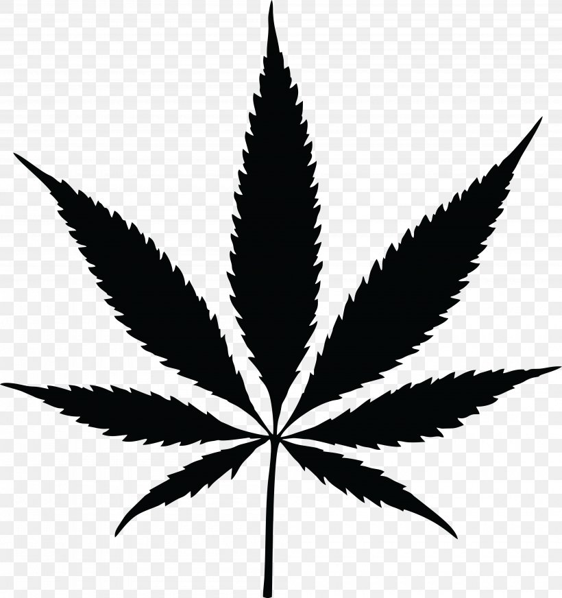 Cannabis Sativa Drawing Smoking, PNG, 4000x4254px, Cannabis, Black And White, Cannabinoid, Cannabis Sativa, Drawing Download Free
