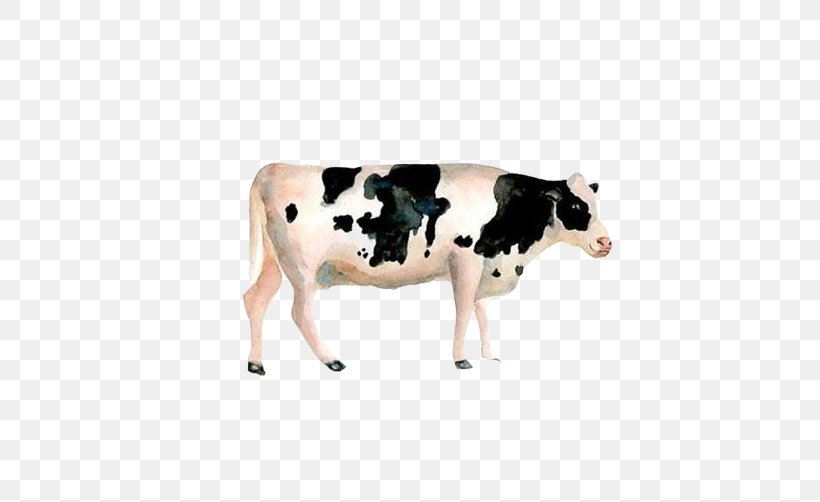 Dairy Cattle Calf Watercolor Painting, PNG, 502x502px, Dairy Cattle, Black And White, Bull, Calf, Cattle Download Free