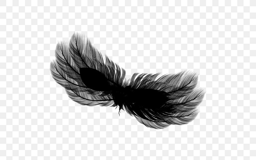 Feather Black M, PNG, 512x512px, Feather, Black, Black Hair, Black M, Blackandwhite Download Free