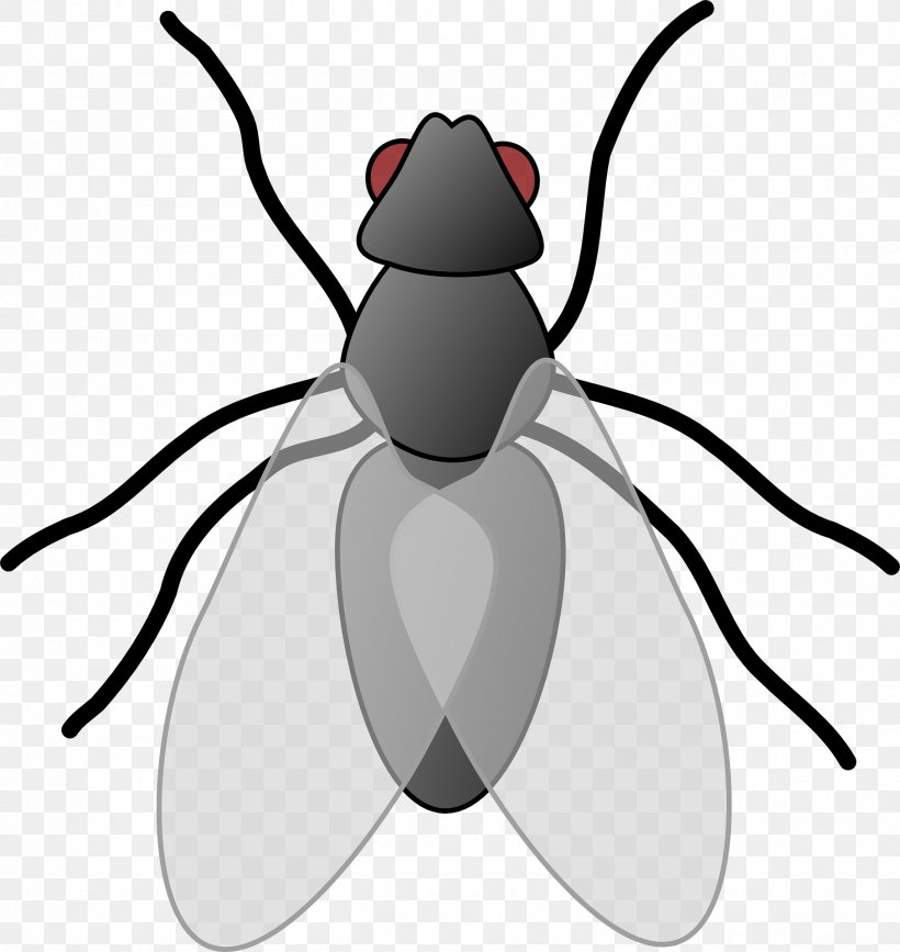 Fly Clip Art, PNG, 1815x1920px, Fly, Artwork, Beetle, Black And White, Blog Download Free