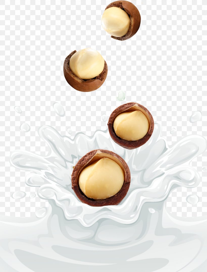 Praline Milk Macadamia Nut, PNG, 980x1289px, Praline, Auglis, Dessert, Flavor, Food Download Free