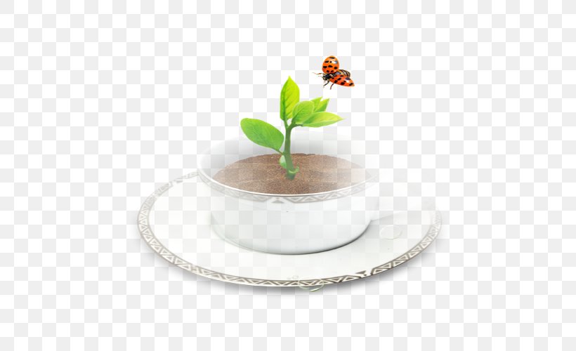 Coffee Cup Insect Butterfly, PNG, 500x500px, Coffee, Butterfly, Coffee Cup, Cup, Dishware Download Free