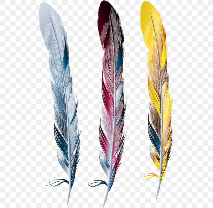 Feather Drawing Picture Frames Clip Art, PNG, 526x800px, Feather, Bird, Cup, Drawing, Paper Download Free