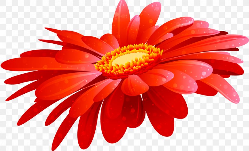 Flower Transvaal Daisy Clip Art, PNG, 1200x730px, Flower, Blog, Chrysanths, Cut Flowers, Daisy Download Free