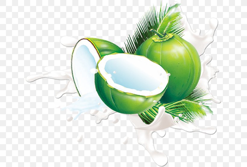 Juice Coconut Milk Fruit, PNG, 650x556px, Juice, Alcoholic Drink, Blueberry, Coconut, Coconut Milk Download Free