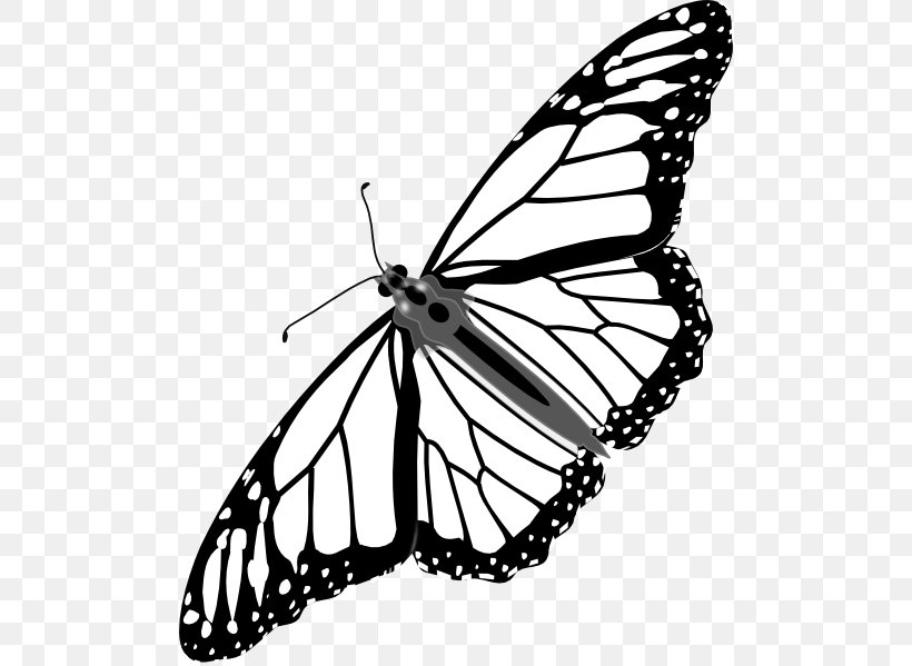 Monarch Butterfly Clip Art, PNG, 498x599px, Butterfly, Arthropod, Black And White, Brush Footed Butterfly, Butterfly Net Download Free