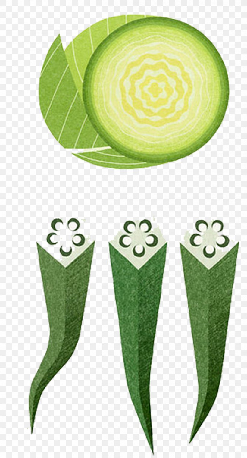 Okra Vegetable Painting Illustration, PNG, 1254x2325px, Okra, Cabbage, Drawing, Food, Fruit Download Free