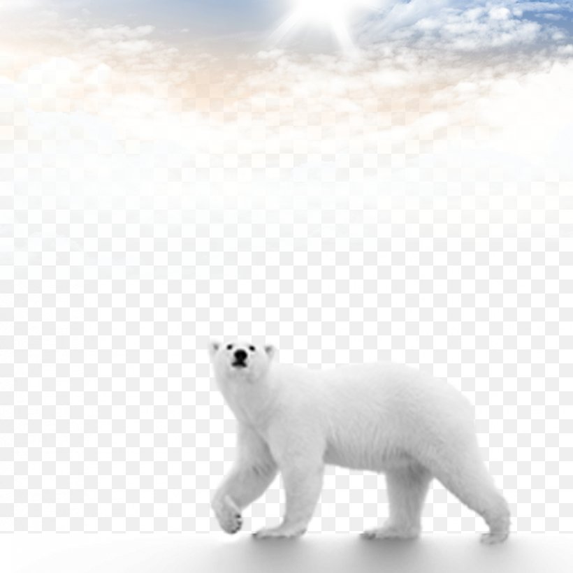 Polar Bear Brown Bear Computer File, PNG, 827x827px, Watercolor, Cartoon, Flower, Frame, Heart Download Free