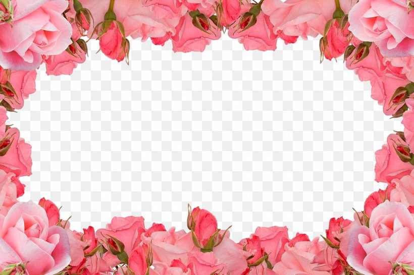 The Hungry JPEG Love Image Valentine's Day Inmagine Group, PNG, 960x640px, Hungry Jpeg, Affection, Birthday, Blog, Cut Flowers Download Free