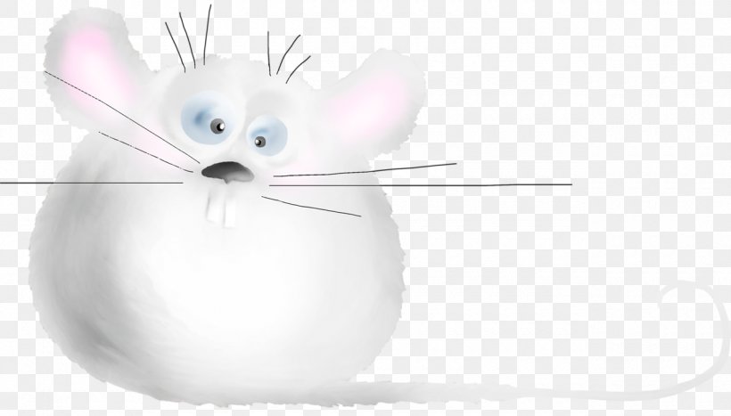 Whiskers Mouse Domestic Rabbit Rat Cat, PNG, 1280x730px, 2017, Whiskers, Animal, Carnivoran, Cat Download Free