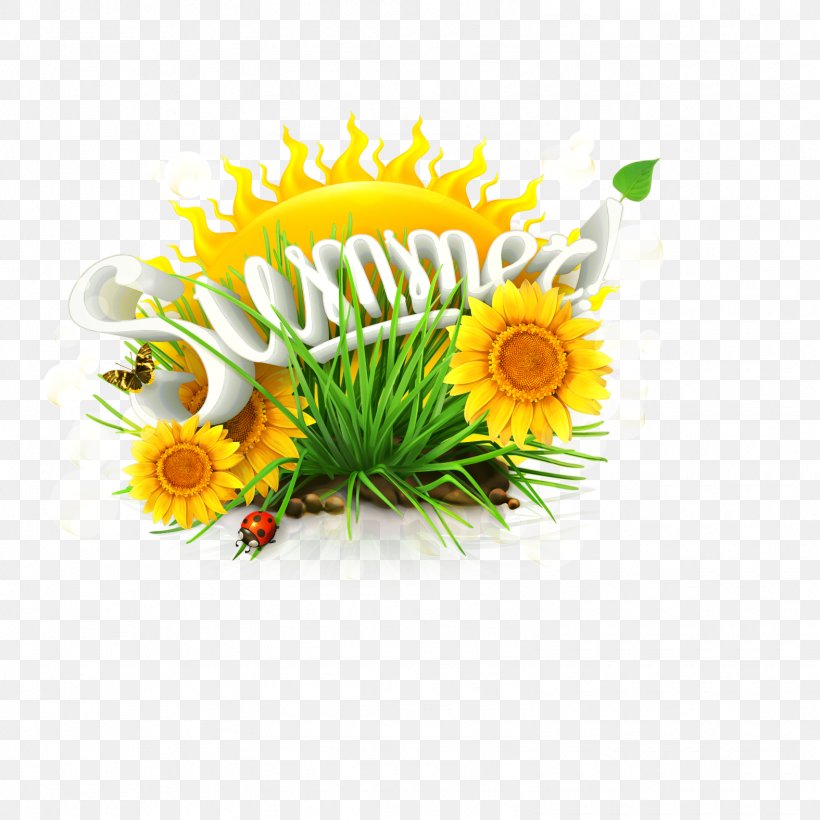 Common Sunflower Summer Solstice, PNG, 1575x1575px, Common Sunflower, Chrysanths, Cut Flowers, Daisy, Daisy Family Download Free