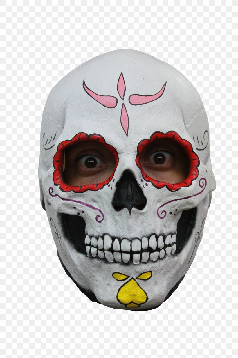 Day Of The Dead Skull, PNG, 3456x5184px, Day Of The Dead, Bone, Calavera, Carnival, Costume Download Free