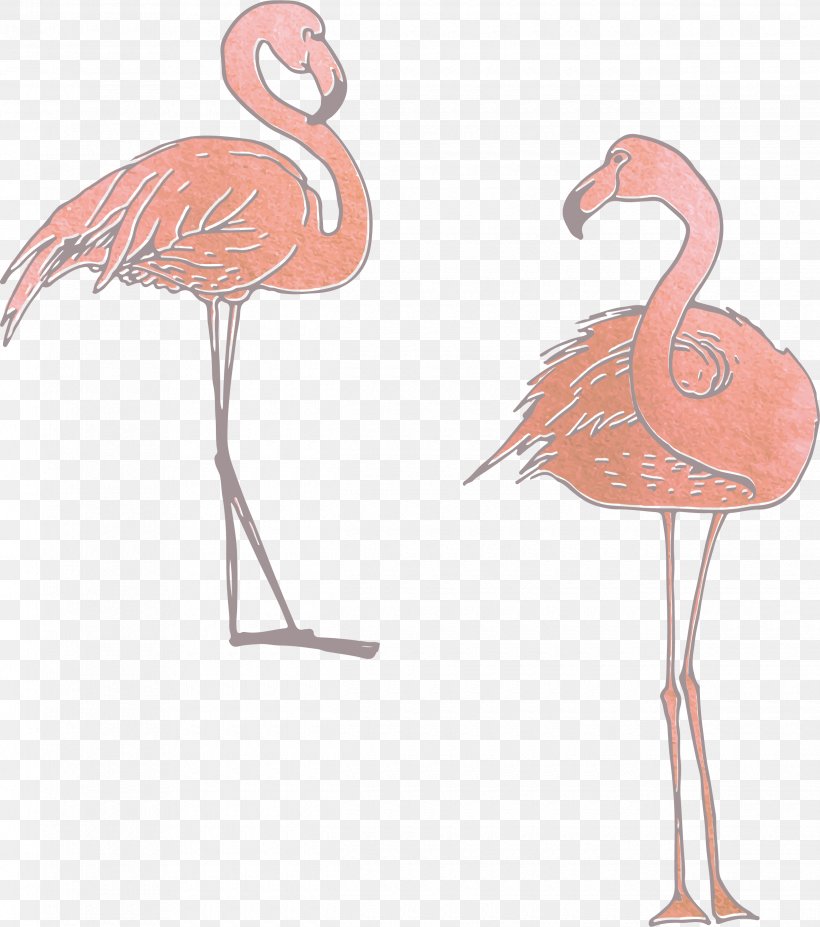 Flamingos Adobe Illustrator, PNG, 2480x2806px, Flamingos, Beak, Bird, Designer, Drawing Download Free