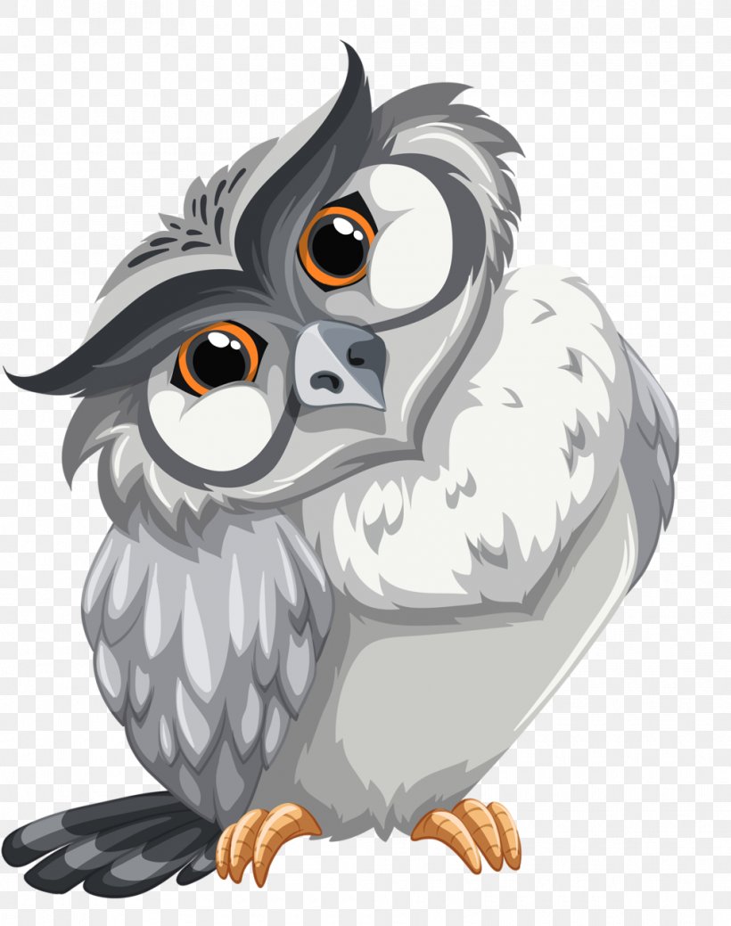 Owl Bird Coloring Book Drawing, PNG, 1010x1280px, Owl, Art, Beak, Bird, Bird Of Prey Download Free