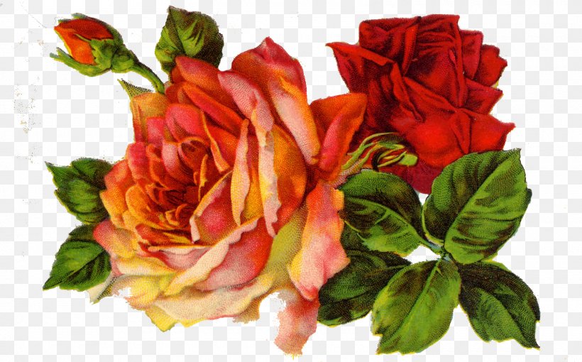 Rose Vintage Clothing Scrapbooking Clip Art, PNG, 1600x997px, Rose, Cut Flowers, Decoupage, Floral Design, Floribunda Download Free