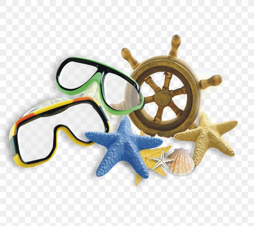 Starfish Goggles Combination, PNG, 2785x2480px, Computer Graphics, Eyewear, Glasses, Goggles, Starfish Download Free