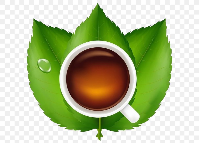 Teacup Green Tea Earl Grey Tea Leaf, PNG, 620x591px, Tea, Black Tea, Coffee Cup, Cup, Drink Download Free