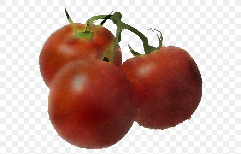 Tomato, PNG, 634x523px, Natural Foods, Food, Fruit, Local Food, Plant Download Free