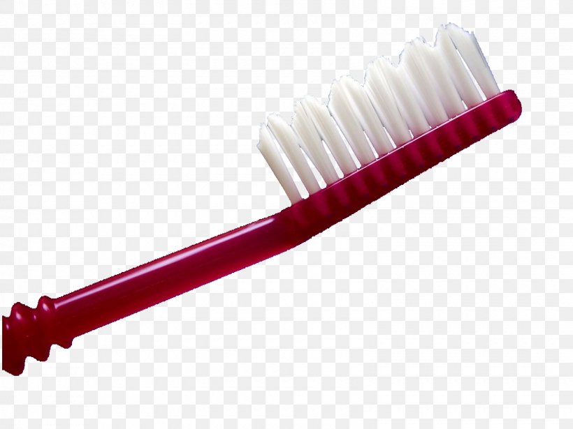 Toothbrush Disposable Google Images, PNG, 1600x1200px, Toothbrush, Brush, Container, Cup, Disposable Download Free