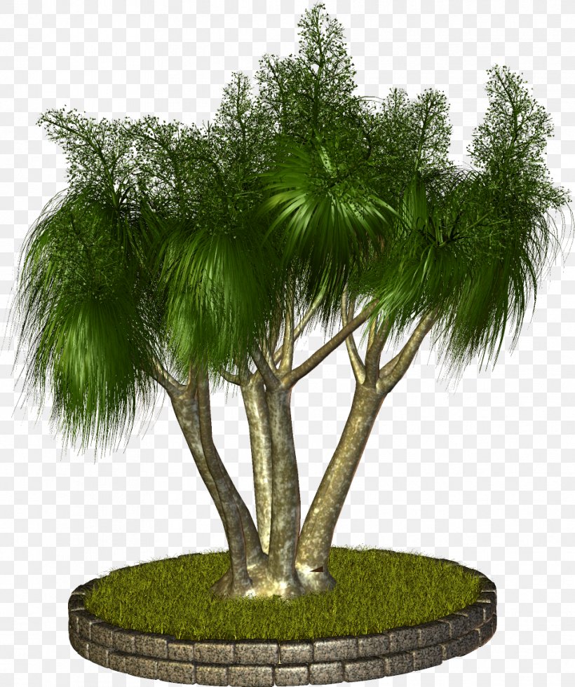 Tree Plant Arecaceae Clip Art, PNG, 964x1153px, Tree, Arecaceae, Arecales, Evergreen, Flowerpot Download Free