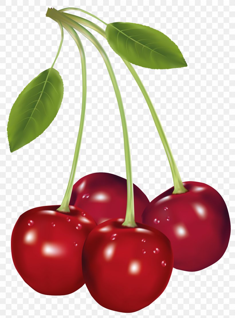 Cherry Fruit Clip Art, PNG, 1916x2592px, Fruit, Acerola, Art, Berry, Blueberry Download Free