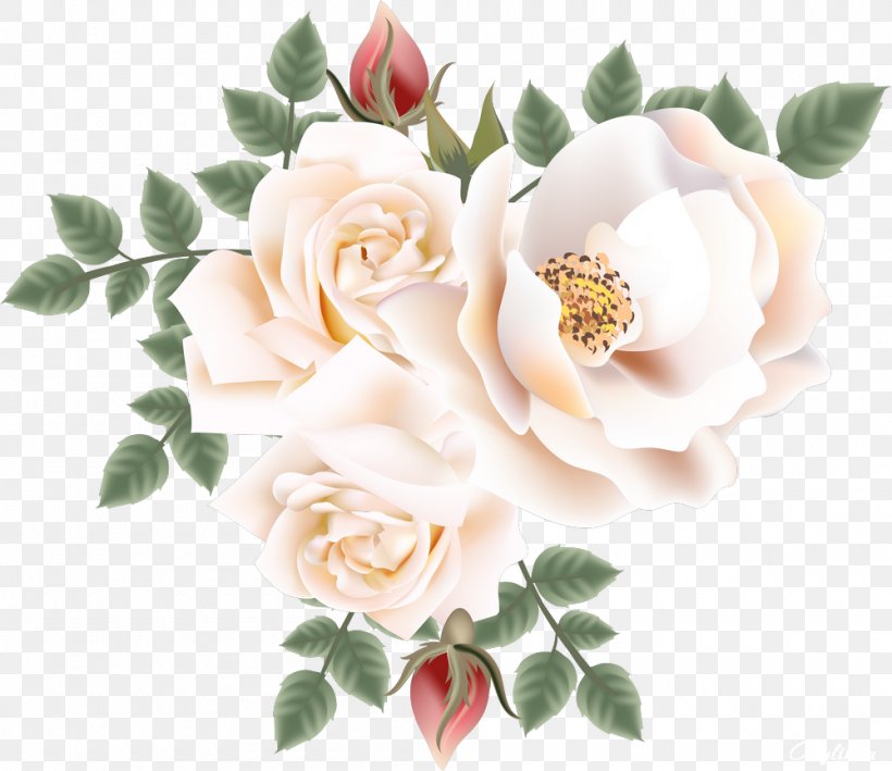 Garden Roses Centifolia Roses Floribunda Clip Art, PNG, 1000x865px, Garden Roses, Artificial Flower, Centifolia Roses, Cut Flowers, Drawing Download Free
