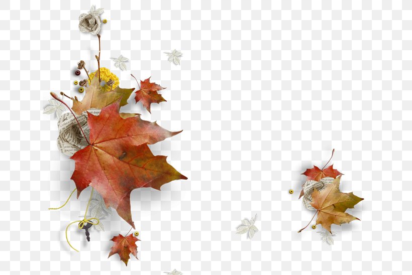Autumn Clip Art Image GIF, PNG, 650x548px, Autumn, Branch, Drawing, Flower, Flowering Plant Download Free