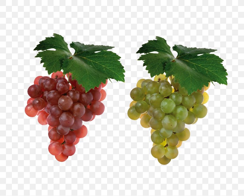 Shiraz Cabernet Sauvignon Merlot Sauvignon Blanc Grape, PNG, 790x661px, Shiraz, Berry, Cabernet Sauvignon, Common Grape Vine, Food Download Free