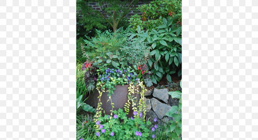 Tree Garden Evergreen Shrub Herb, PNG, 1100x600px, Tree, Evergreen, Flora, Flower, Garden Download Free