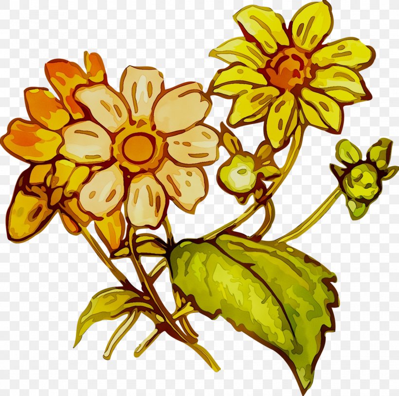 Floral Design Cut Flowers Food Plant Stem, PNG, 1523x1513px, Floral Design, Blackeyed Susan, Botany, Cut Flowers, Daisy Family Download Free