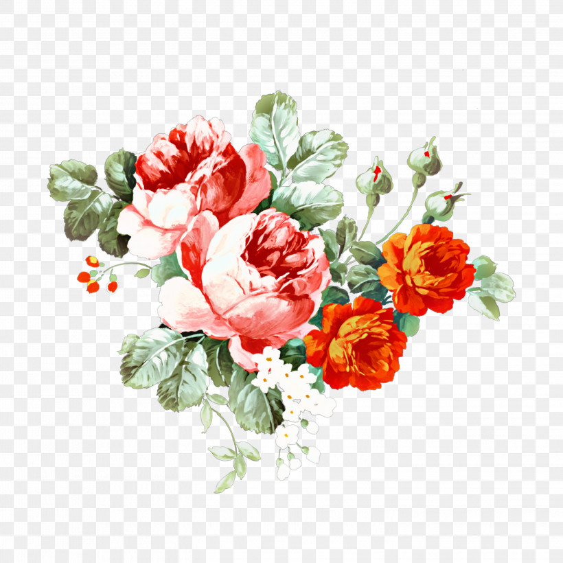 Garden Roses, PNG, 2896x2896px, Flower, Bouquet, Camellia, Carnation, Chinese Peony Download Free