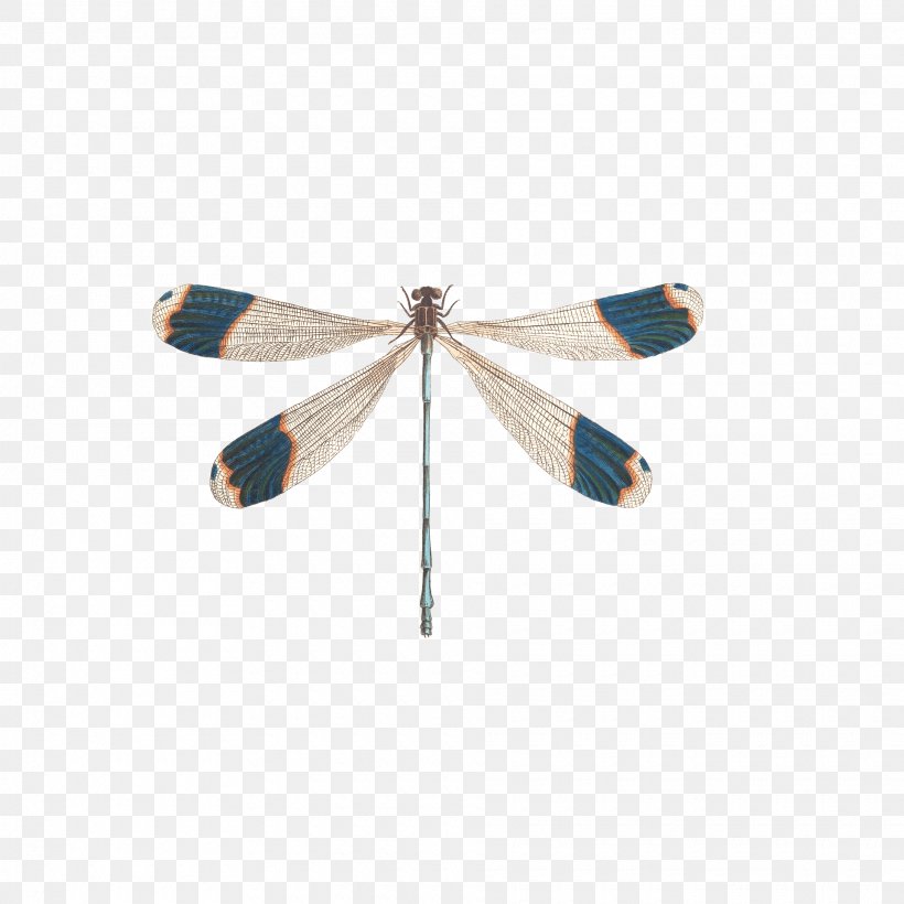 Insect Dragonfly Illustration, PNG, 1920x1920px, Insect, Display Resolution, Dragonfly, Image File Formats, Insect Wing Download Free