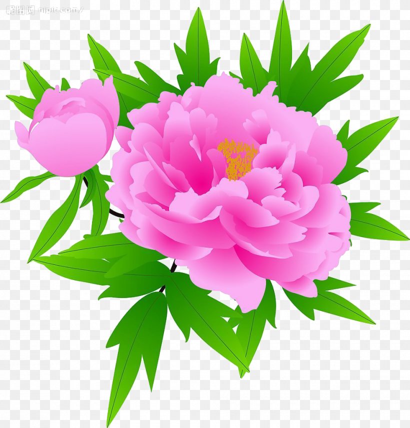 Moutan Peony Heze, PNG, 980x1024px, Peony, Annual Plant, Blogger, Floral Design, Floristry Download Free