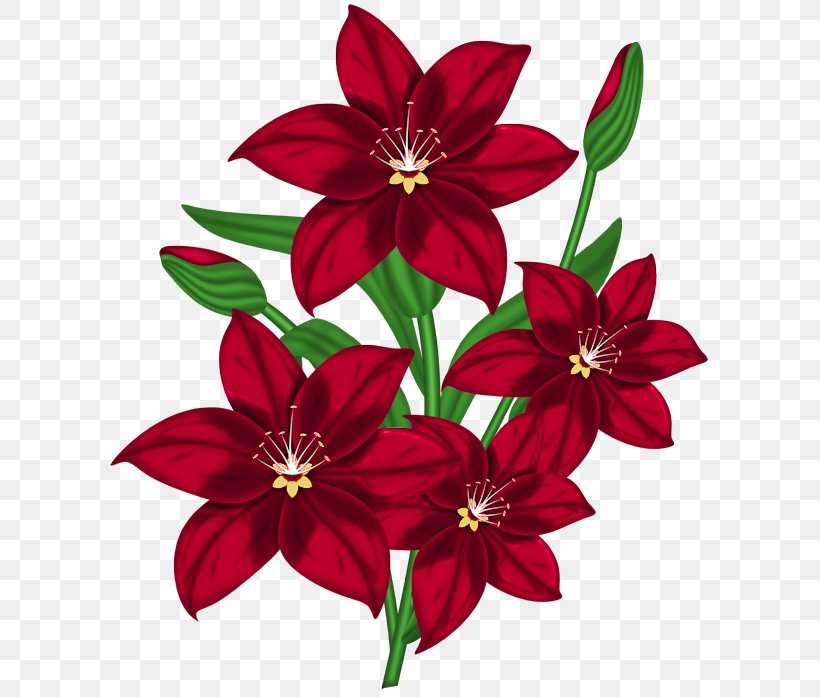 Flower Red Clip Art, PNG, 629x697px, Flower, Arum Lily, Color, Cut Flowers, Dahlia Download Free