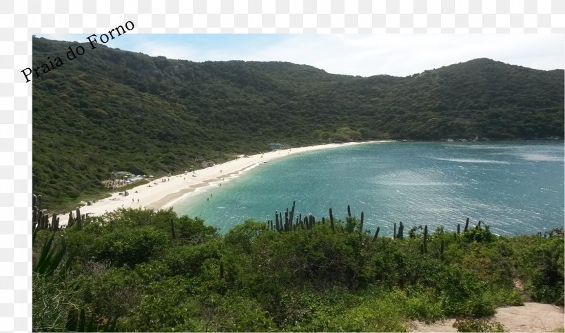 Cove Shore Nature Reserve Water Resources Beach, PNG, 1614x952px, Cove, Bay, Beach, Coast, Coastal And Oceanic Landforms Download Free