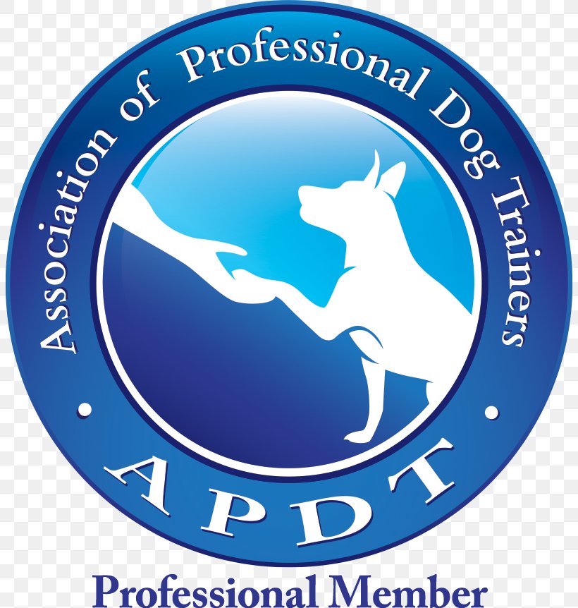 Dog Training Puppy Pet Dog Behavior, PNG, 806x862px, Dog, American Kennel Club, Area, Blue, Brand Download Free