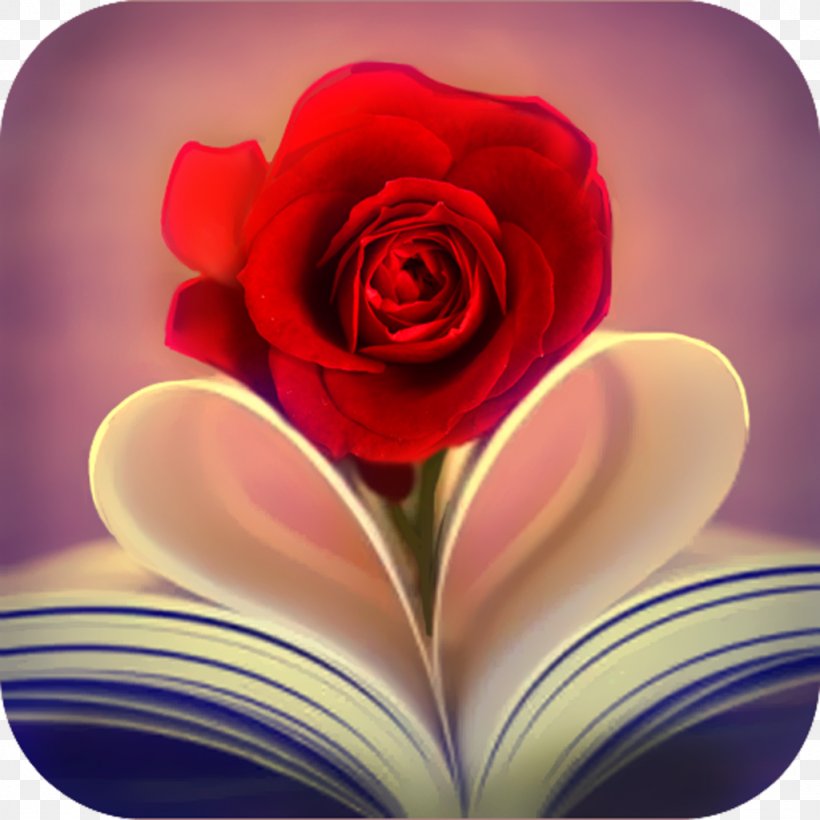 Heart Desktop Wallpaper Rose Flower Valentine's Day, PNG, 1024x1024px,  Heart, Close Up, Color, Flora, Flower Download