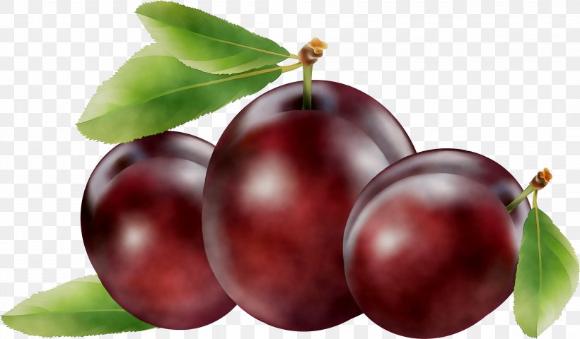 Vector Graphics Stock Illustration Gooseberry, PNG, 4195x2457px, Gooseberry, Berries, Berry, Black Cherry, Camu Camu Download Free