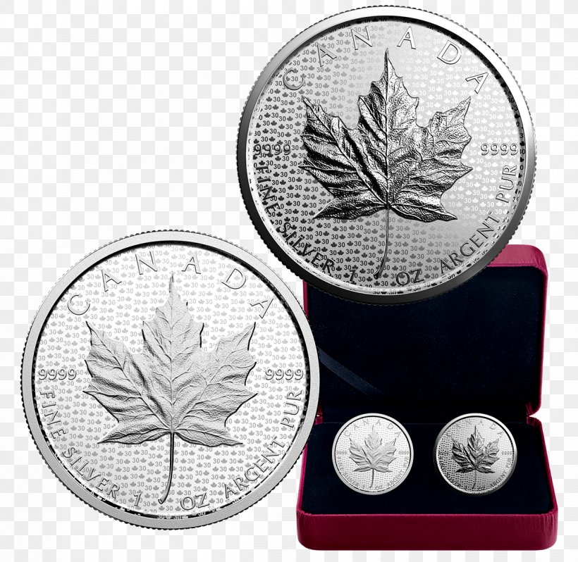 Canada Canadian Silver Maple Leaf Canadian Gold Maple Leaf Bullion Coin, PNG, 1198x1166px, Canada, Bullion Coin, Canadian Gold Maple Leaf, Canadian Maple Leaf, Canadian Silver Maple Leaf Download Free