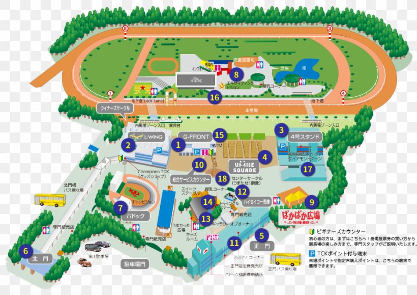Ohi Racecourse Tokyo Daishōten TCK女王盃 Horse Racing Fukushima Race Course, PNG, 935x661px, Horse Racing, Area, Horse, Land Lot, Map Download Free
