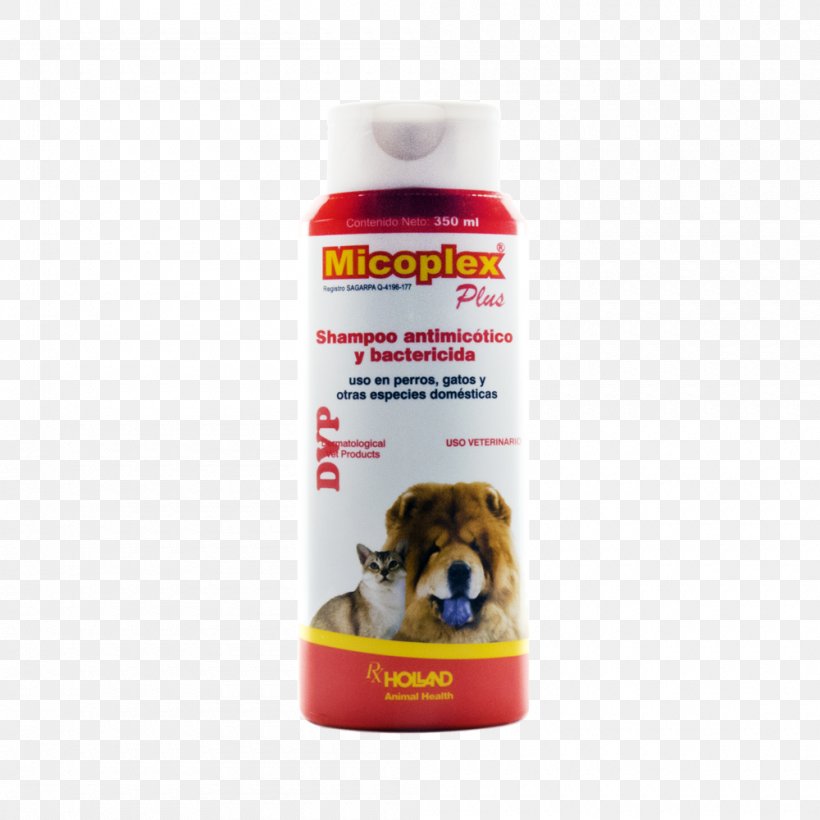 Shampoo Huvica Veterinary Marketing Miconazole Chlorhexidine Health, PNG, 1000x1000px, Shampoo, Antifungal, Beauty, Cat, Chlorhexidine Download Free